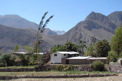 VALLE COTAHUASI Y CAMPINA 03