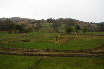 ENCAADA - PAMPA HERMELINDA 10