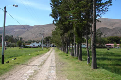 HACIENDA LA COLPA 08