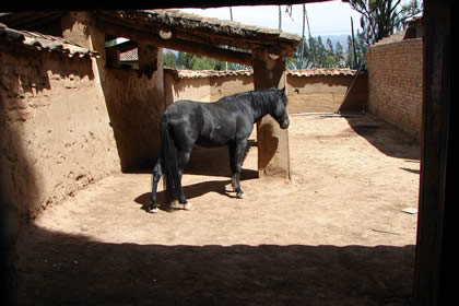 HACIENDA LA COLPA CABALLERIZAS 02