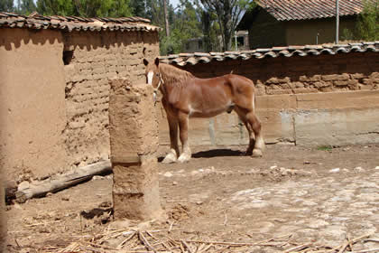 HACIENDA LA COLPA CABALLERIZAS 03