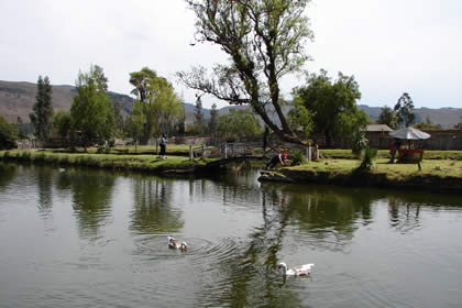 HACIENDA LA COLPA LA LAGUNA 05