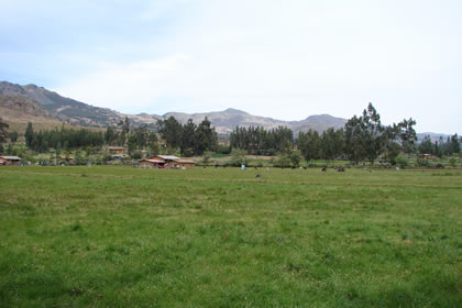 LA GANADERIA EN CAJAMARCA 09