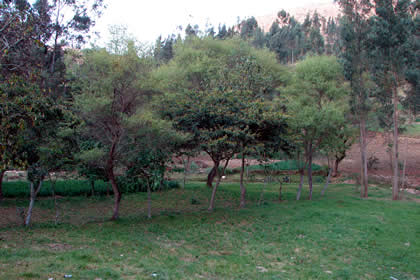 CAMINATA A LAS CATARATAS DE LLACANORA 02