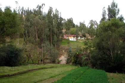 CAMINATA A LAS CATARATAS DE LLACANORA 03