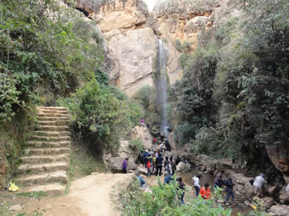 LLACANORA CATARATAS HEMBRA Y MACHO 05