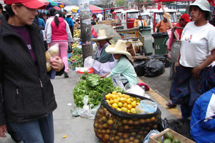 MERCADO SAN SEBASTIAN 03