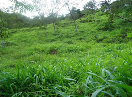 SANTUARIO NACIONAL TABACONAS NAMBALLE 02