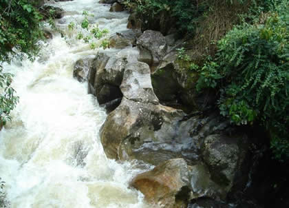 SANTUARIO NACIONAL TABACONAS NAMBALLE 03