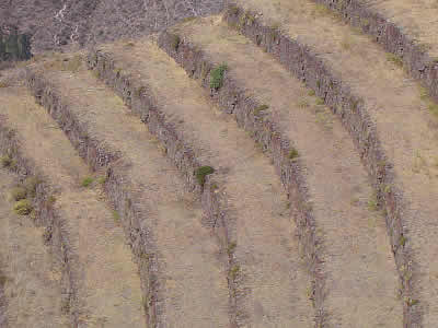 COMPLEJO ARQUEOLOGICO DE PISAC 05