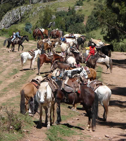 TOUR A CABALLO 01