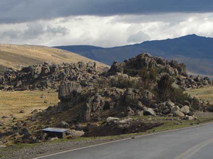 BOSQUE DE PIEDRAS DE SACHAPITE 01