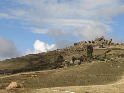 BOSQUE DE PIEDRAS DE SACHAPITE 06