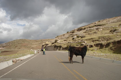 RUTA HUANCAYO HUANCAVELICA 32