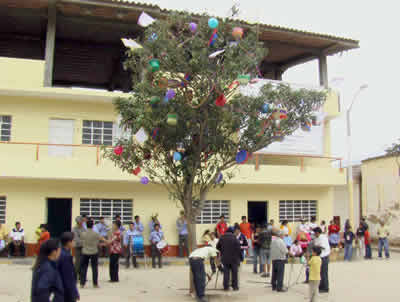 CARNAVALES HUACARINOS 2007 04