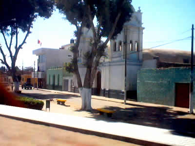 SALAS GUADALUPE 01