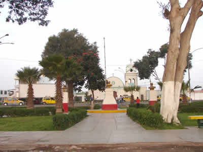 SALAS GUADALUPE 03