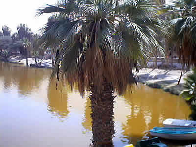 LA LAGUNA HUACACHINA 05