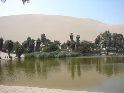 LA LAGUNA HUACACHINA 08