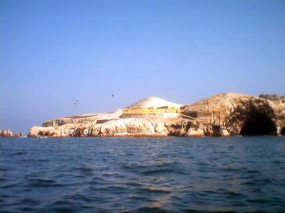 ISLAS BALLESTAS 04