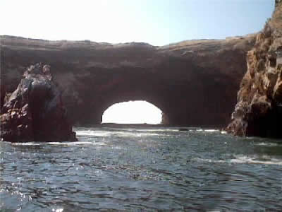 ISLAS BALLESTAS 05