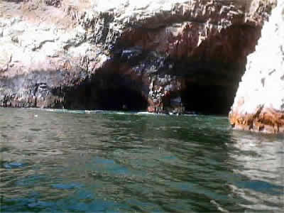 ISLAS BALLESTAS 10