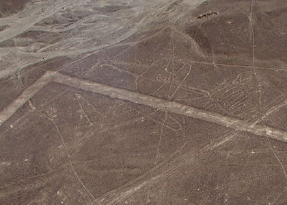 LA BALLENA DE LAS LINEAS DE NAZCA 01