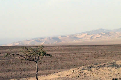 DUNAS Y SANDBOARD EN PALPA 01