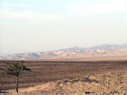 DUNAS Y SANDBOARD EN PALPA 02