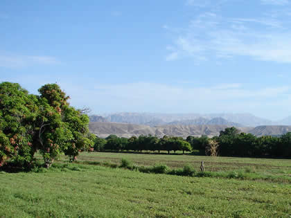 EL VALLE DE PALPA 02