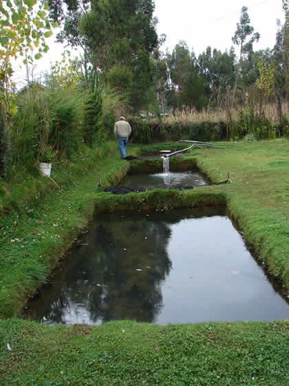 CRIADERO DE TRUCHAS DE LA LAGUNA DE AHUINPUQUIO 01