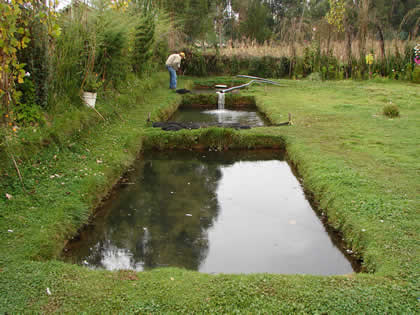 CRIADERO DE TRUCHAS DE LA LAGUNA DE AHUINPUQUIO 02