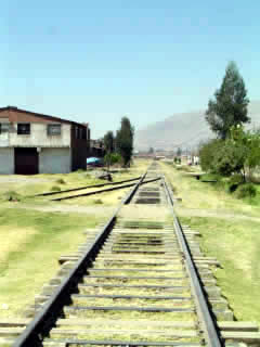 TREN MACHO 03