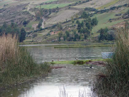 LA LAGUNA De ÑAHUINPUQUIO 02