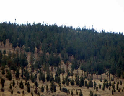 RUTA HUANCAYO JAUJA TARMA 02