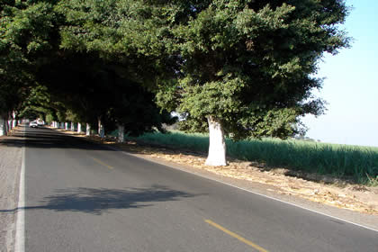 CASA GRANDE 04