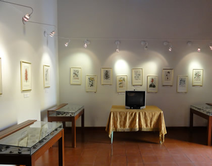 CASA MUSEO ANTONIO RAIMONDI MUSEO 04