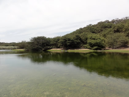 LAGUNA EL GALLINAZO 02