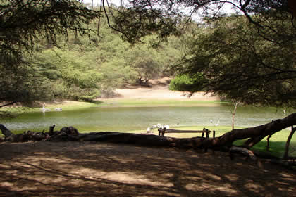 LAGUNA EL GALLINAZO 06