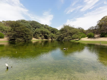 LAGUNA EL GALLINAZO 10