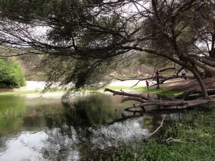 LAGUNA EL GALLINAZO 11