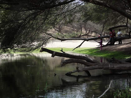 LAGUNA EL GALLINAZO 12