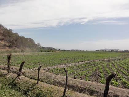 RUTA CRUCE SAN MARTIN DE PORRES - BOSQUE Y COMPLEJO ARQUEOLOGICO EL CAONCILLO 06