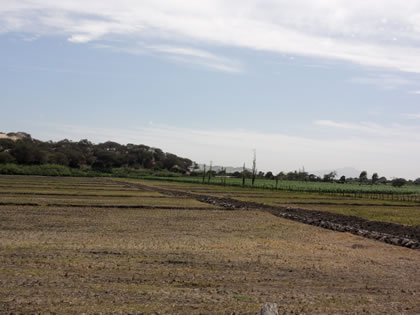 RUTA CRUCE SAN MARTIN DE PORRES - BOSQUE Y COMPLEJO ARQUEOLOGICO EL CAONCILLO 08