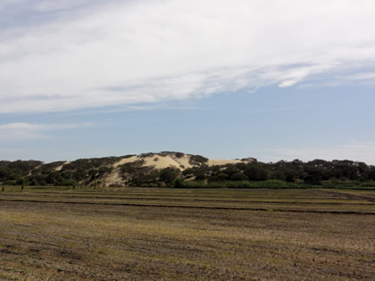 RUTA CRUCE SAN MARTIN DE PORRES - BOSQUE Y COMPLEJO ARQUEOLOGICO EL CAONCILLO 09