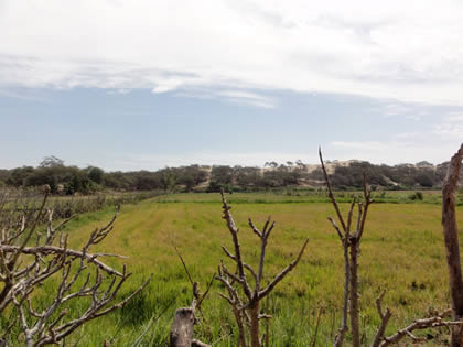 RUTA CRUCE SAN MARTIN DE PORRES - BOSQUE Y COMPLEJO ARQUEOLOGICO EL CAONCILLO 10