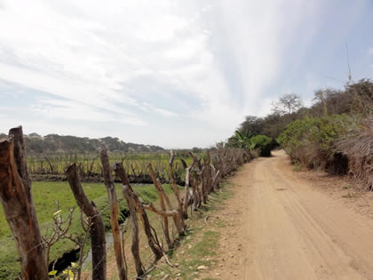 RUTA CRUCE SAN MARTIN DE PORRES - BOSQUE Y COMPLEJO ARQUEOLOGICO EL CAONCILLO 11