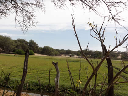 RUTA CRUCE SAN MARTIN DE PORRES - BOSQUE Y COMPLEJO ARQUEOLOGICO EL CAONCILLO 12