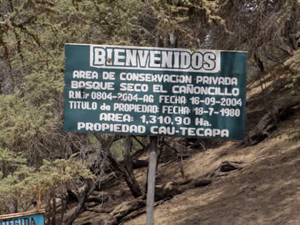 RUTA CRUCE SAN MARTIN DE PORRES - BOSQUE Y COMPLEJO ARQUEOLOGICO EL CAONCILLO 13