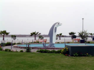 la punta 12